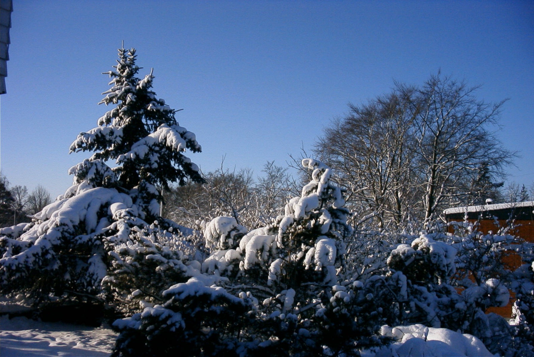 Vinter 2001